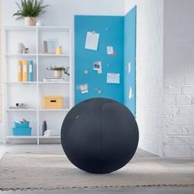 Sedací míč Leitz Ergo Cosy Dark Grey šedý

 obrázek produktu 5 z 11