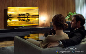 Televize LG 55SM9010 

 obrázek produktu 14 z 14