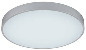 Stropní svítidlo TRIO Waco, 49 cm kov
