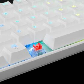 Klávesnice White Shark SHINOBI, US layout, Red Switch bílá

 obrázek produktu 3 z 6