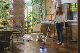 Tyčový vysavač Hoover HF920P 011 
