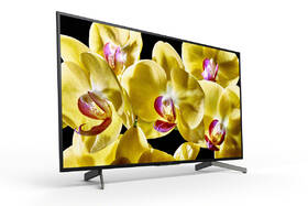 Televize Sony KD-55XG8096 

 obrázek produktu 2 z 8