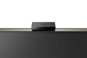 Televize Sony XR-65A95K 

 obrázek produktu 15 z 19