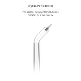 Náhradní trysky TrueLife AquaFloss Compact C300 Periodontal Jet (4 ks) bílá

 obrázek produktu 1 z 2