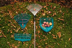 Násada Gardena 901052301 150 cm dřevo

 obrázek produktu 2 z 5