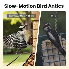 Ptačí krmítko Birdfy Metal V, kovové s kamerou a solárním panelem (AI předplatné) hnědý

 obrázek produktu 8 z 8