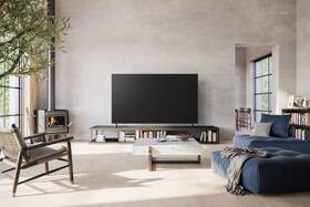 Televize Panasonic TX-55MX800E 

