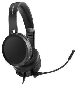 Webkamera AVerMedia BO317 + headset černá

 obrázek produktu 3 z 3