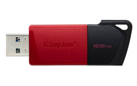 USB Flash Kingston DataTraveler Exodia M 128GB červený

 obrázek produktu 3 z 5