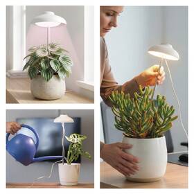 Lampa pro pěstování EMOS Deštník, 5 W, LED integrované, IP20 bílá

 obrázek produktu 6 z 7