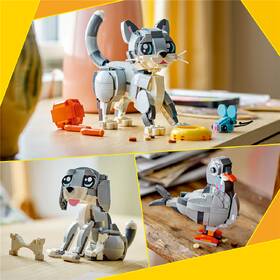 Stavebnice LEGO® Creator 3 v 1 31163 Hravá kočka 

 obrázek produktu 4 z 8