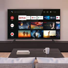 Televize TCL 43P615 
