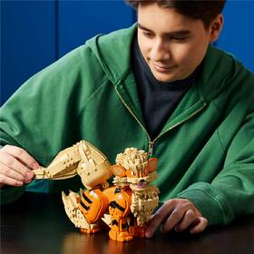 Stavebnice LEGO® Pokémon™ 72160 

 obrázek produktu 6 z 9
