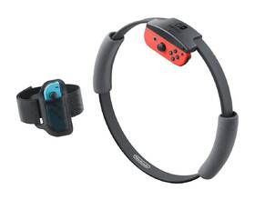 Hra Nintendo Ring Fit Adventure 

 obrázek produktu 3 z 9