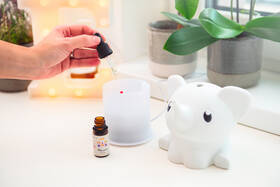 Aroma difuzér ETA 9634 90000 bílý

 obrázek produktu 11 z 12
