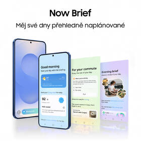 Mobilní telefon Samsung Galaxy S25+ 5G 12 GB / 512 GB světle modrý

 obrázek produktu 3 z 17