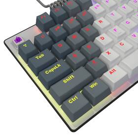 Klávesnice Lorgar Azar 514TKL EN bílá

 obrázek produktu 16 z 19