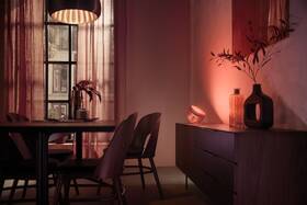 Stolní LED lampička Philips Iris Copper Special Edition měděná

 obrázek produktu 4 z 6
