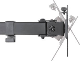 Držák TV STELL SOS 1110, Single na 1 monitor 13" až 32", nosnost 8 kg černý

 obrázek produktu 3 z 12