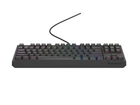 Klávesnice Genesis THOR 230 Lite, US layout černá

 obrázek produktu 1 z 8