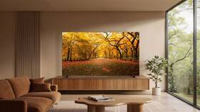 Televize TCL 98C8L 

 obrázek produktu 15 z 16