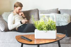 Chytrý květináč Click and Grow Smart Garden 3 bílý

 obrázek produktu 5 z 7