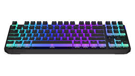 Klávesnice ENDORFY Thock TKL Wireless Red Pudding, US layout černá

 obrázek produktu 3 z 16