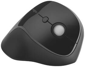 Myš KENSINGTON Pro Fit Ergo černá

 obrázek produktu 3 z 7