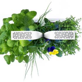 Chytrý květináč Véritable CLASSIC bílý

 obrázek produktu 3 z 14