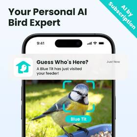 Ptačí krmítko Birdfy Rookie Lite, s kamerou (AI předplatné) hnědý

 obrázek produktu 4 z 6