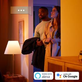 Závěsné svítidlo Philips Ensis White and Color Ambiance černé

 obrázek produktu 4 z 4
