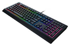 Klávesnice Razer Cynosa V2 černá

 obrázek produktu 3 z 4