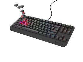 Klávesnice Genesis THOR 230 Lite, US layout černá

 obrázek produktu 6 z 8