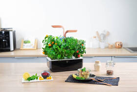 Chytrý květináč Véritable SMART černý/měděný

 obrázek produktu 6 z 9