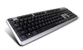 Klávesnice C-Tech KB-102 SLIM, CZ/SK černá/stříbrná

 obrázek produktu 2 z 4