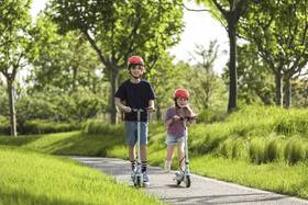 Elektrická koloběžka Ninebot by Segway Zing C8 

 obrázek produktu 15 z 17