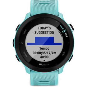 Chytré hodinky Garmin 55 modré

 obrázek produktu 1 z 5