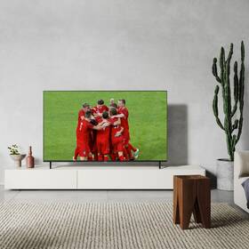 Televize Panasonic TX-65LX800E 

 obrázek produktu 7 z 11