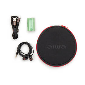 Discman AIWA PCD-810 černý/modrý

 obrázek produktu 9 z 10