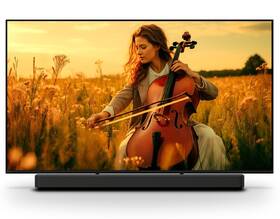 Televize Sony Bravia 5 55" 
