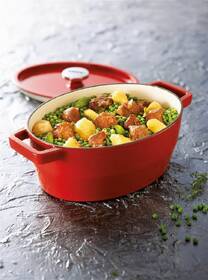 Kastrol s poklicí Pyrex 29×21 cm, 4 l červený

 obrázek produktu 2 z 2