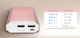 Powerbanka ADATA A10050 10050mAh šedá

 obrázek produktu 6 z 15