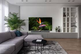 Televize TCL 65X10 

 obrázek produktu 14 z 17