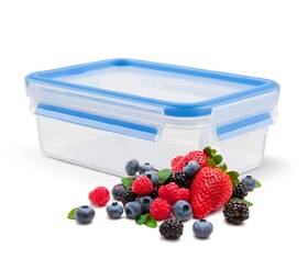Dóza na potraviny Tefal K3021412, 1,2 l plast

 obrázek produktu 2 z 13
