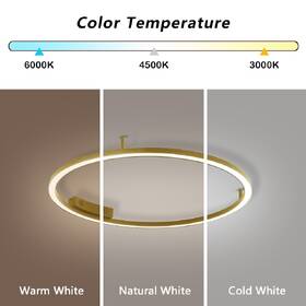 Stropní svítidlo IMMAX NEO FINO, 55W, Zigbee 3.0, TUYA, prům. 80cm zlaté

 obrázek produktu 3 z 4