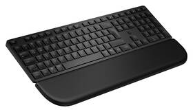 Klávesnice HP 580K Multi-Device Dual-Mode with Palm Rest, CZ layout černá

 obrázek produktu 3 z 5
