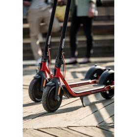Elektrická koloběžka Ninebot by Segway D18E 

 obrázek produktu 13 z 19