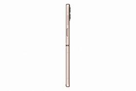 Mobilní telefon Samsung Galaxy Z Flip4 5G 8 GB / 128 GB zlatý

 obrázek produktu 9 z 10