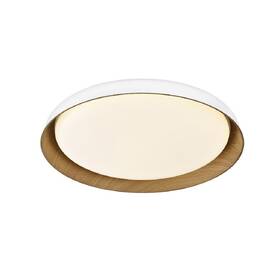 Stropní svítidlo Top Light Satellite 50B RC, s dálkovým ovládačem, 48W, 4800lm, stmívání, paměť, průměr 53cm bílé/dřevo

 obrázek produktu 3 z 4