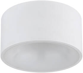 Stropní svítidlo GLOBO Raymond, 12 W bílé

 obrázek produktu 2 z 4